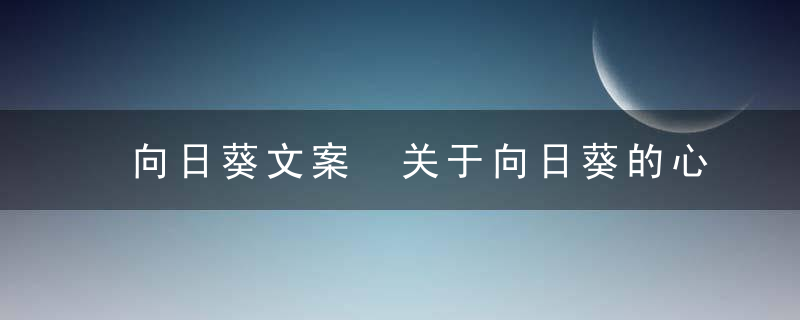 向日葵文案 关于向日葵的心情句子说说